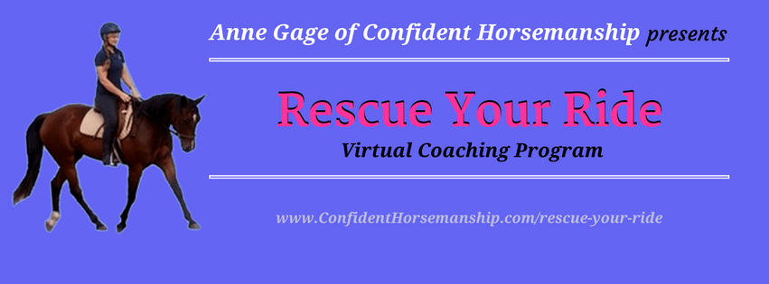 Click to get all the details on my virtual coaching sessions.